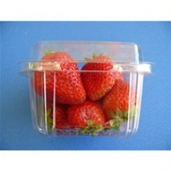 Strawberry Punnets | Strawberries Packaging | Clamshells for Strawberries